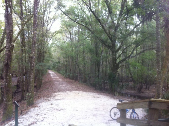 This trail led to the Hillsborough River where there was a gazebo for resting and great bird watching.  Most of the trails were no more than a bike tire wide, but this was the exception.