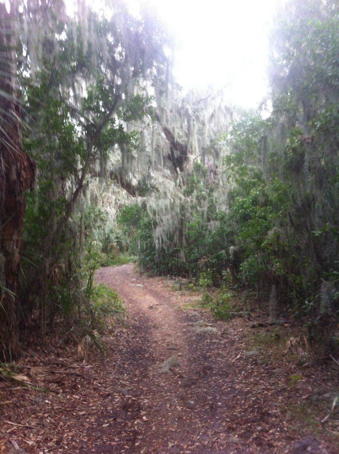 Some of the trails were a bit more challenging at Boyd Hill.  But even the more challenging were fairly easy and this park is great for beginners or just having a relaxing bike trail of a day.