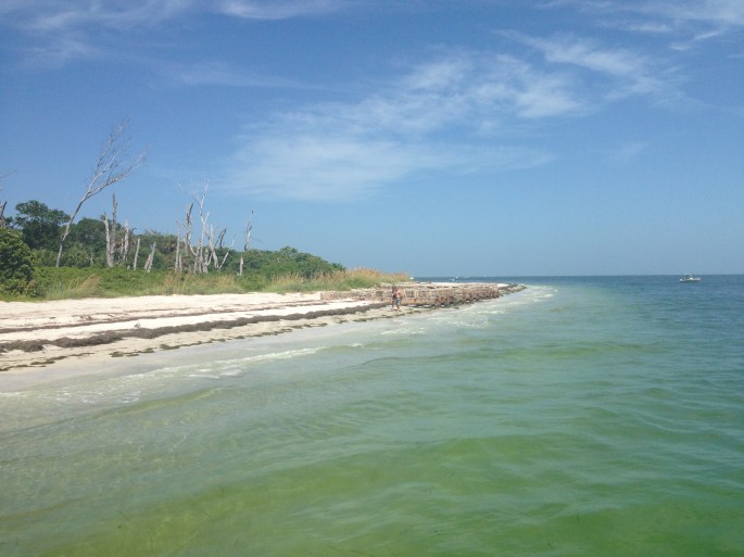 One of the many beaches at Egmont Key.  This is where the ferry drops you off from Ft. Desoto, St. Petersburg.