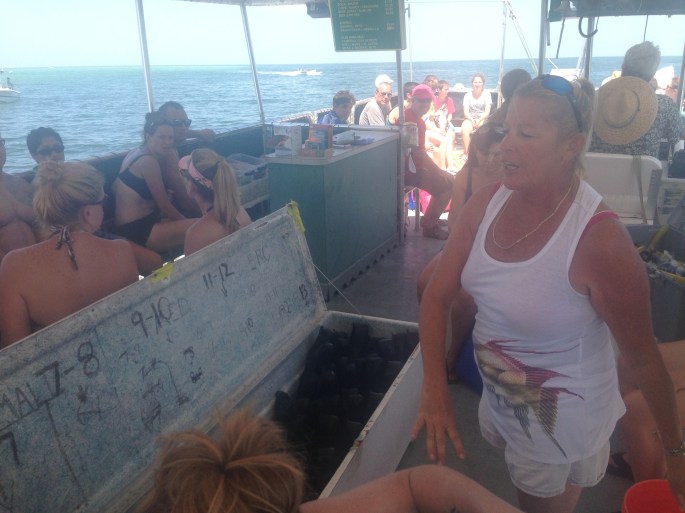 Ample snorkeling equipment is aboard the Tampa Bay Ferry from Fort Desoto, St. Petersburg to Egmont Key.