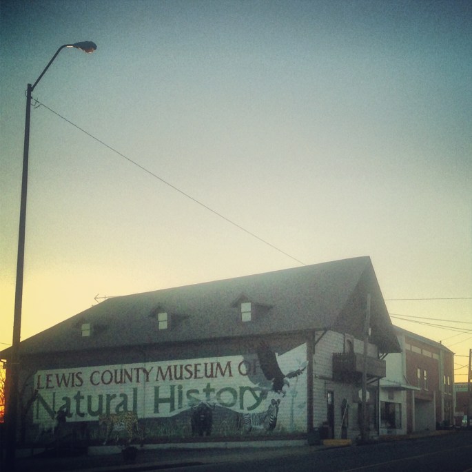 Lewis County's seat is Hohenwald, Tennessee and features a number of unique buildings and businesses in the town center.