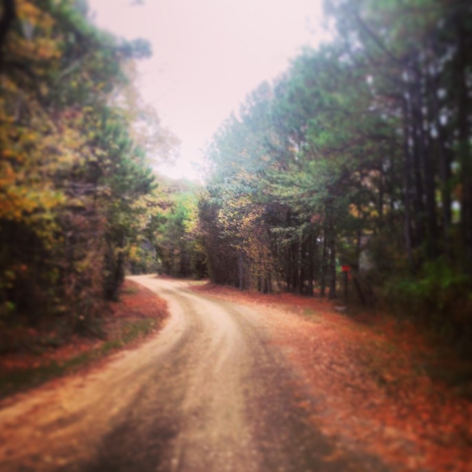 The charming and rural road into the KOA Brookeland Texas 