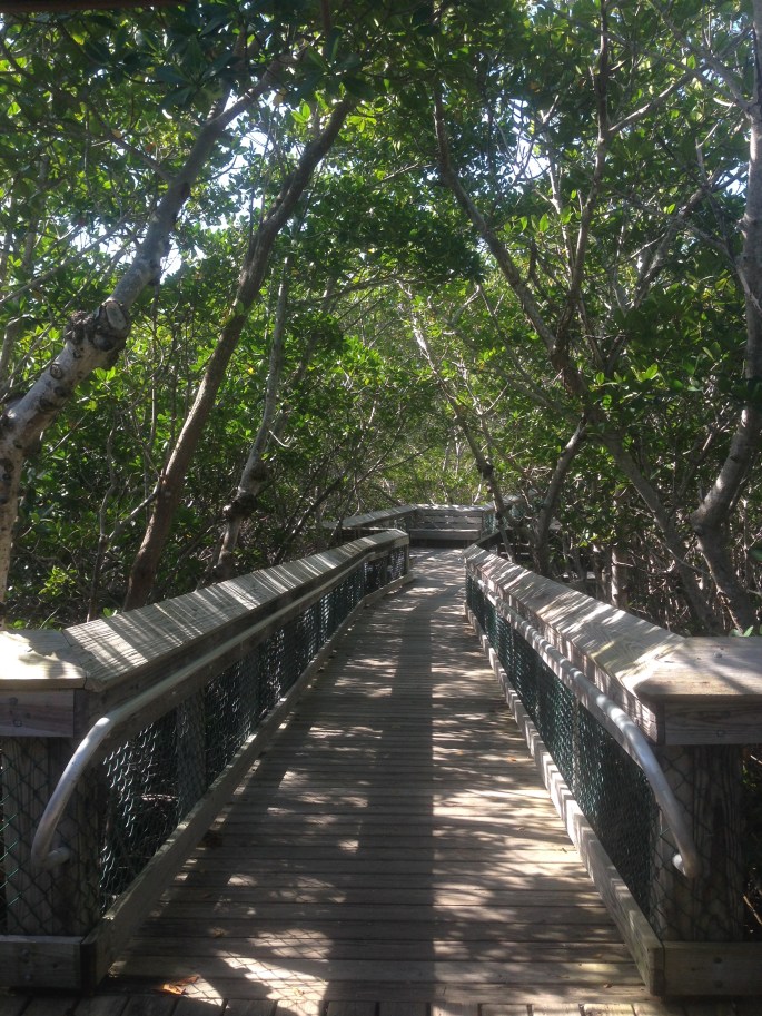 This boardwalk will take you through nature to the Atlantic Ocean at the Long Key State Park.