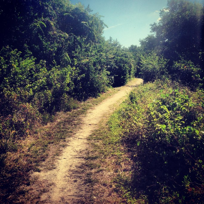 This nature trail takes you right by the ocean and is a pleasant walk at the Long Key State Park, Layton, Florida.