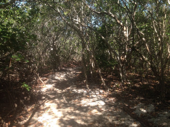 The town of Layton has a nature trail that will take you through a magical trail to the Gulf of Mexico nearby the entrance to the state park and convenience stores on the island.