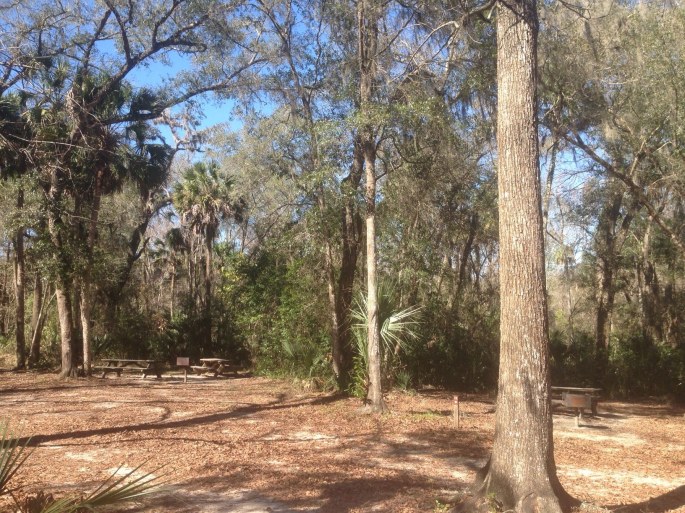 Picnic areas were around the actual springs at Wekiwa Springs State Park.