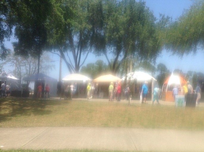 From food to art to crafts there was something for everyone at the Port Orange Art Fest.  