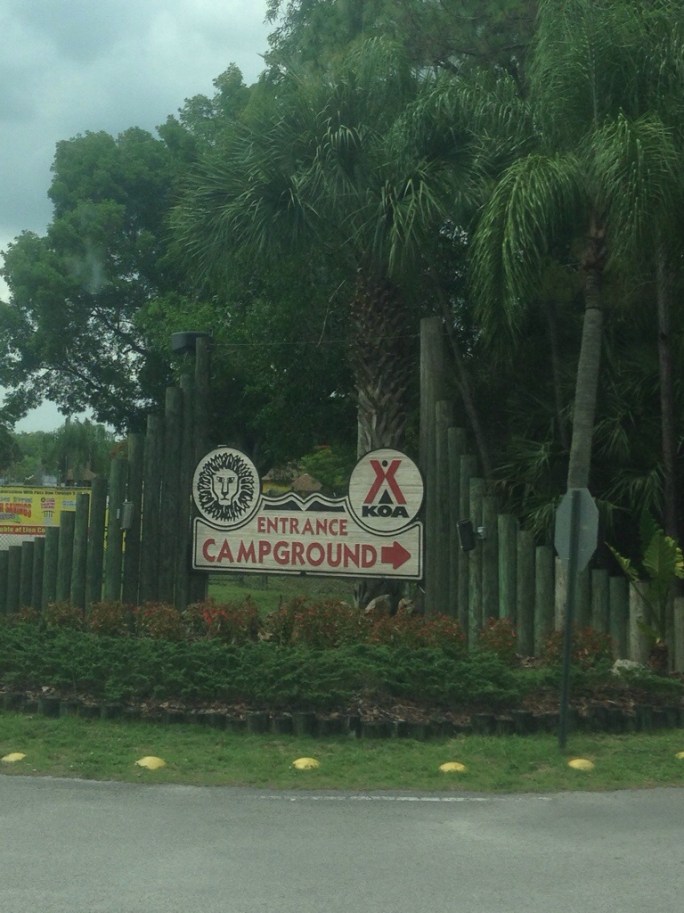 The entrance to the KOA Kampground in Loxahatchee is right on the grounds of Lion Country Safari and is the perfect place to stay for several days and visit the zoo.