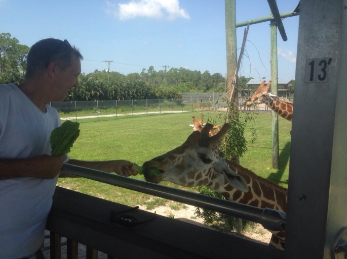 Here's me feeding a giraffe at Lion Country Safari. Truly a memorable experience.
