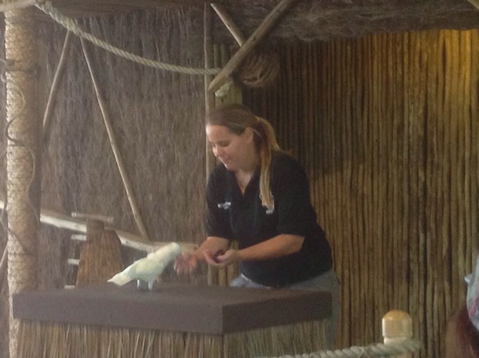 Terrific staff provide great commentary during various shows educating the public about the various animals.