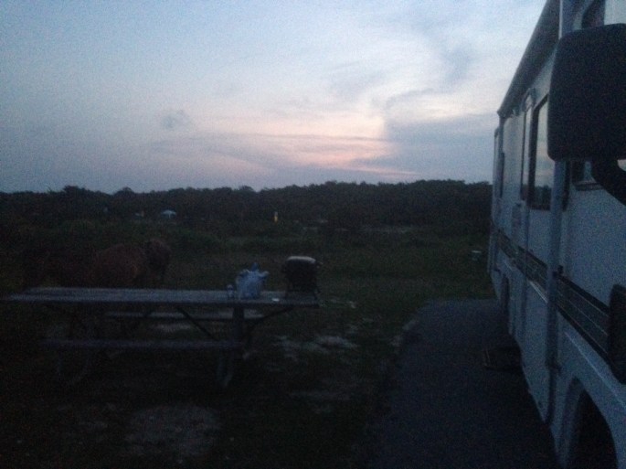 As night falls, the horses will still be active.  This one went directly through our camp site.