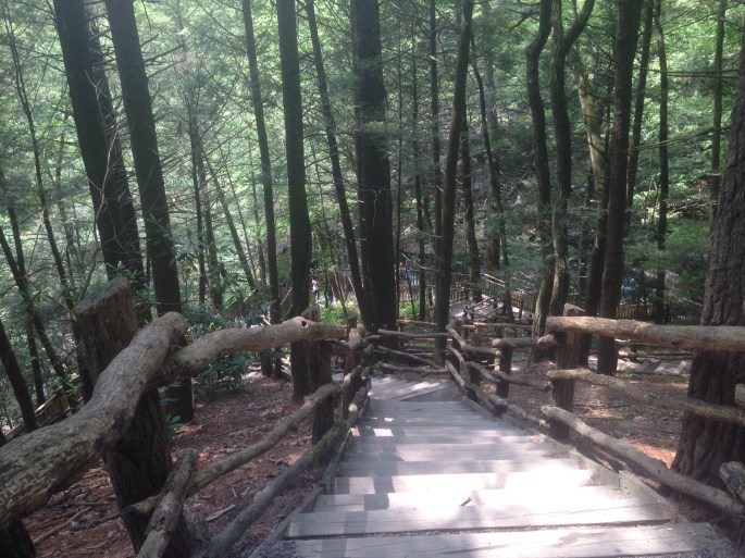 Here's the way down to the falls at Bushkill Falls in the Poconos of Pennsylvania.