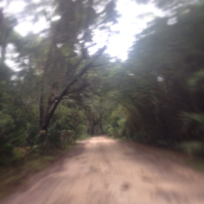 The road into Kingsley Plantation is very special indeed and gives you the impression immediately that you are going back in time to Kingsley Plantation.